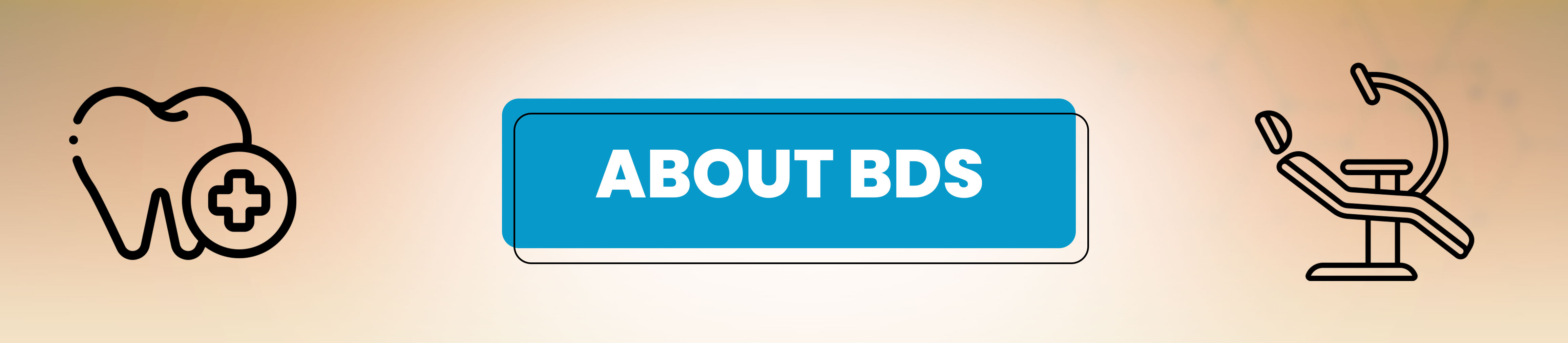 About BDS