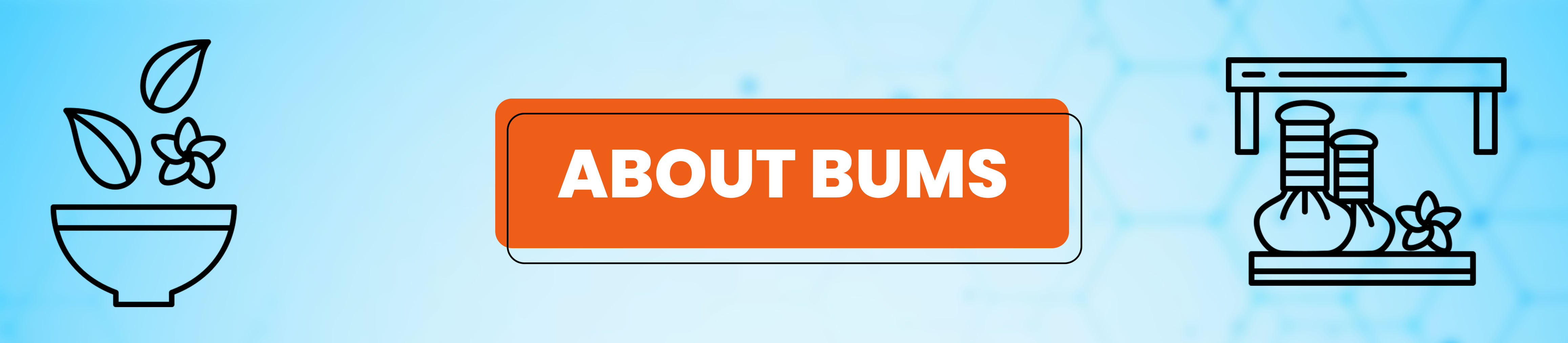 About BUMS